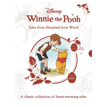 Book cover of 'Winnie the Pooh: Tales from Hundred-Acre Wood' with a boy and Pooh bear illustration.