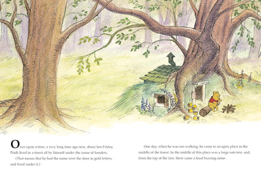 page in book