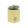 faux plant