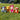 Four Winnie the Pooh plush toys on grass with a blurred background