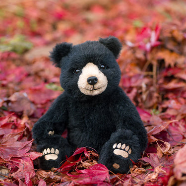 Black teddy bear sitting on red and orange autumn leaves