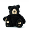 Black teddy bear with a white face on a white background