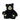 Black teddy bear with a white face on a white background