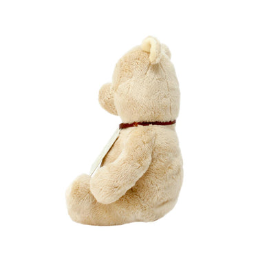 teddy side view