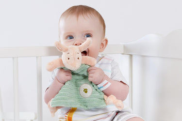Hundred Acre Wood Piglet Comfort Blanket with Baby